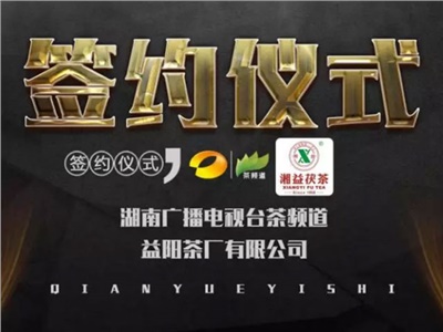 湘益茯，美茗揚(yáng) 丨湘益茯茶與茶頻道達(dá)成長(zhǎng)期戰(zhàn)略合作