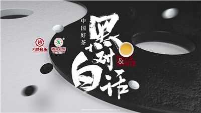 首屆黑白對話高峰論壇圓滿落幕！湘益茯茶備受關(guān)注！